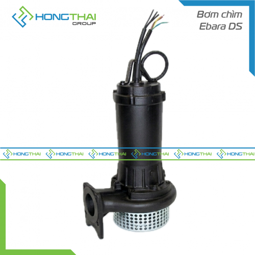 Bơm chìm Ebara DS
