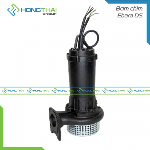 Bơm chìm Ebara DS