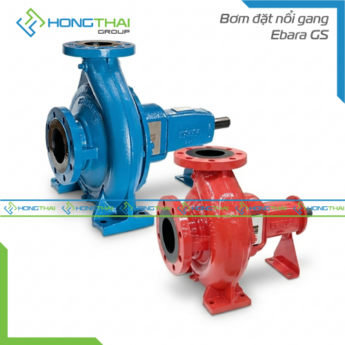 Bơm đầu rời gang Ebara GS