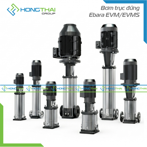 Bơm trục đứng Ebara EVM/EVMS