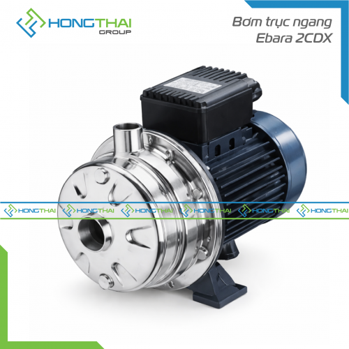 Bơm trục ngang Ebara 2CDX