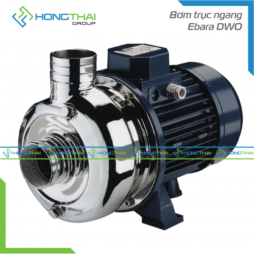 Bơm trục ngang Ebara DWO