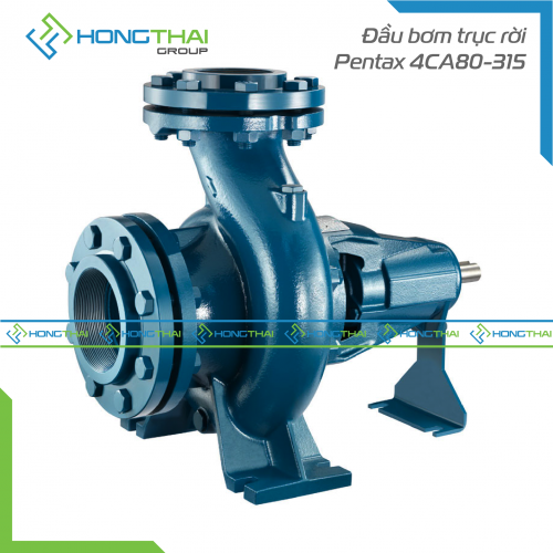 Đầu bơm trục rời Pentax 4CA80-315