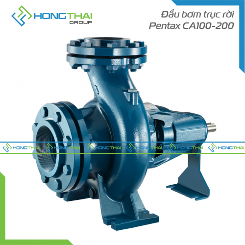 Đầu bơm trục rời Pentax CA100-200