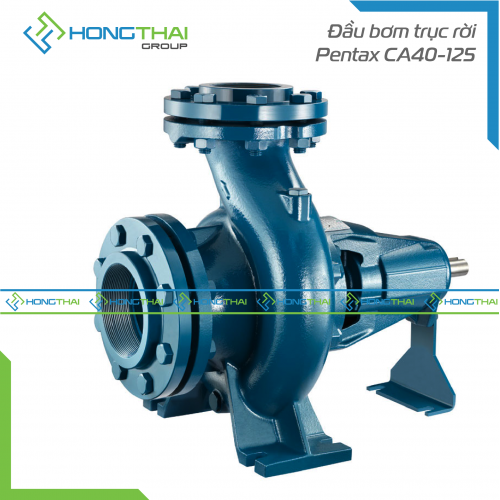 Đầu bơm trục rời Pentax CA40-125