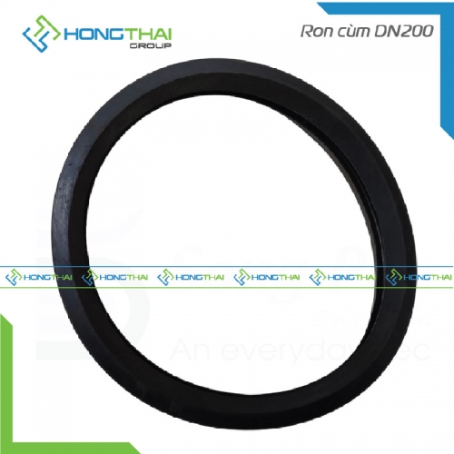 Ron cùm DN200