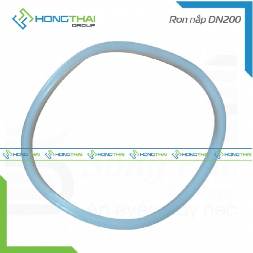 Ron nắp DN200