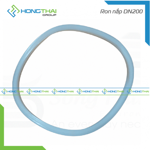 Ron nắp DN200