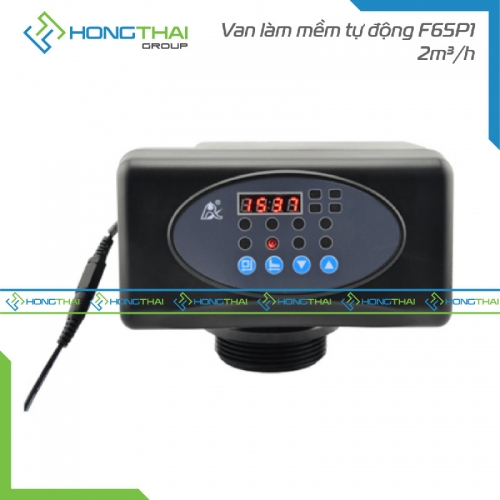  Van làm mềm tự động F65P1 - 2m3/h